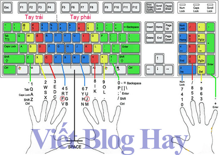 Cách ngõ bàn phím 10 ngón tay - Nhiệm vụ của từ bàn tay